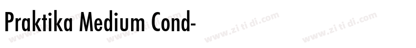 Praktika Medium Cond字体转换